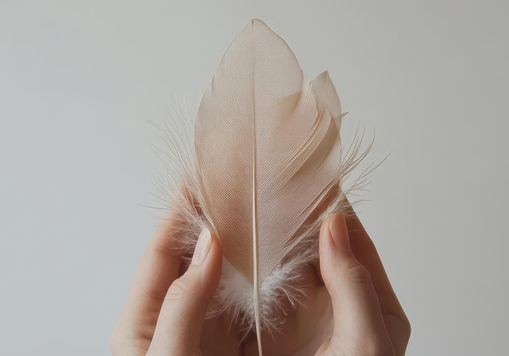 Hands softly holding feather